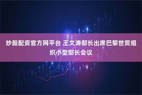 炒股配资官方网平台 王文涛部长出席巴黎世贸组织小型部长会议
