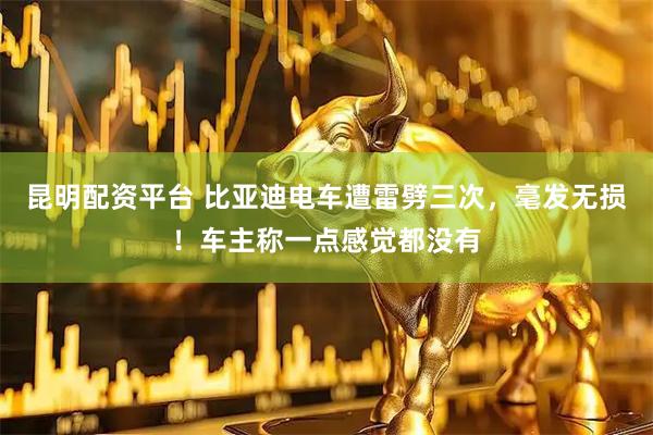 昆明配资平台 比亚迪电车遭雷劈三次，毫发无损！车主称一点感觉都没有